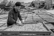 茯苓干燥易碎裂吸濕怎么辦？茯苓烘干機(jī)助力企業(yè)規(guī)模化生產(chǎn)!